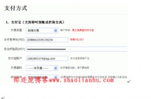 网站如何添加支付宝在线支付功能