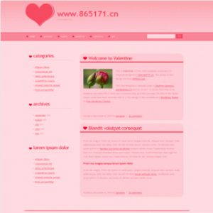 做的第一个女性个人博客主题