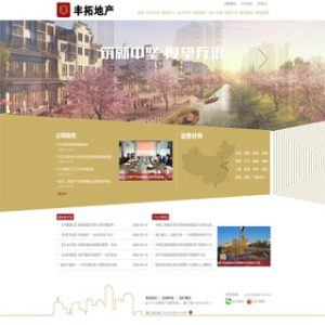分享房地产开发公司网站模板,请老师审批