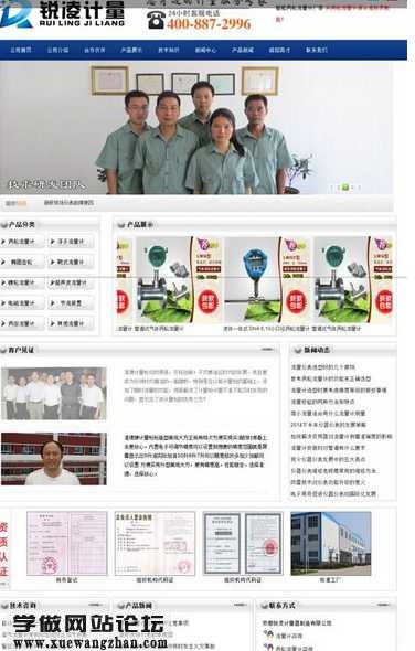 锐凌公司网站制作