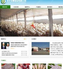 宝泰食品有限公司网站建设