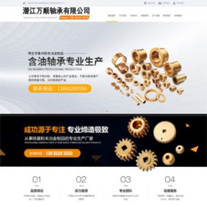 看看我做的轴承生成厂家网站，帅吧