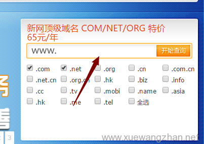 如何查询域名是否已被成功?