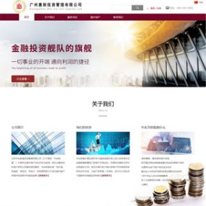 自己做的投资管理公司网站