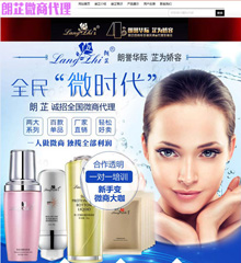 微商代理网站制作案例