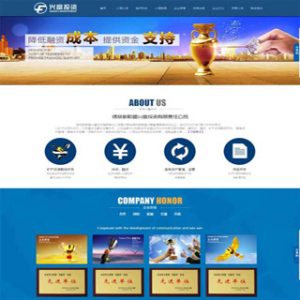 金融投资企业网站，新手花3天时间做的