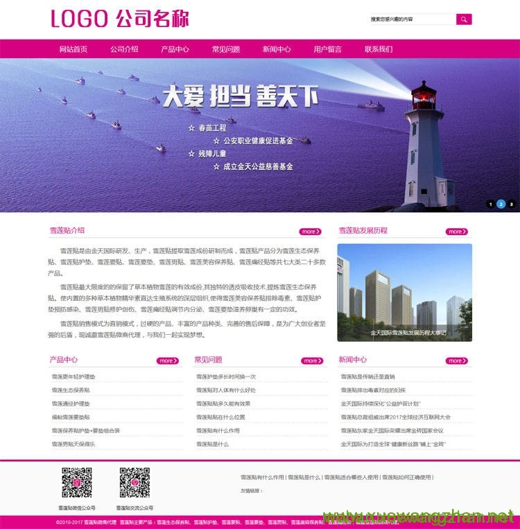 雪莲贴公司网站建设