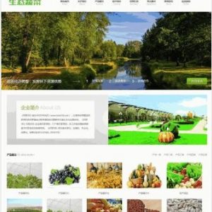 车辆轮胎轮辋双语网站制作_网站建设模板模板