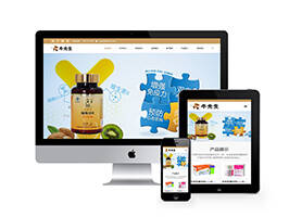 保健品网站制作_网站建设模板模板