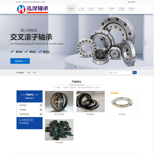 山东泓泽轴承公司网站制作案例